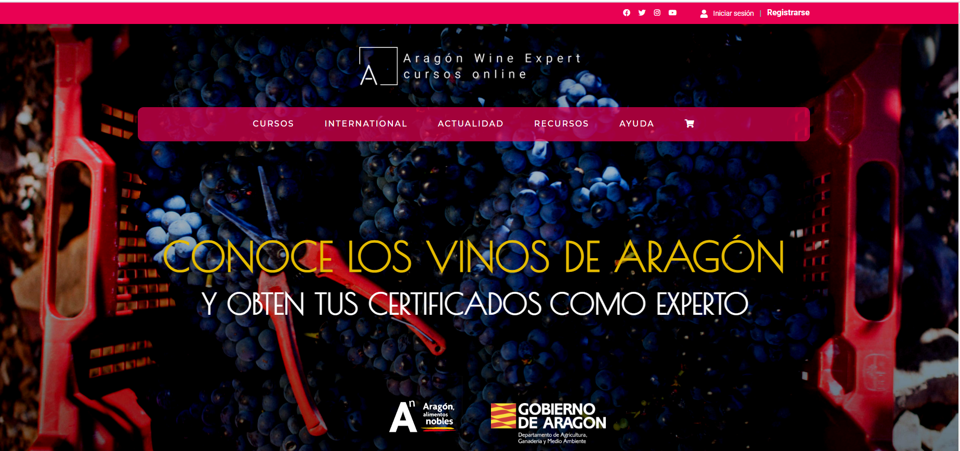 aragon wine expert