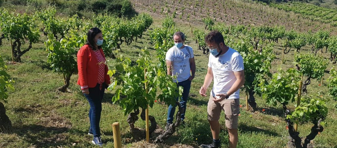 Carmen Urbano, directora general de Promoción e Innovación Agroalimentaria de Gobierno de Aragón visita el proyecto del Master of Wine aragonés Fernando Mora